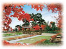 紅に色づいた楓がきれいなもみじ苑
