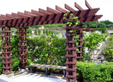 ベンチ