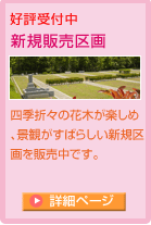 新規販売区画